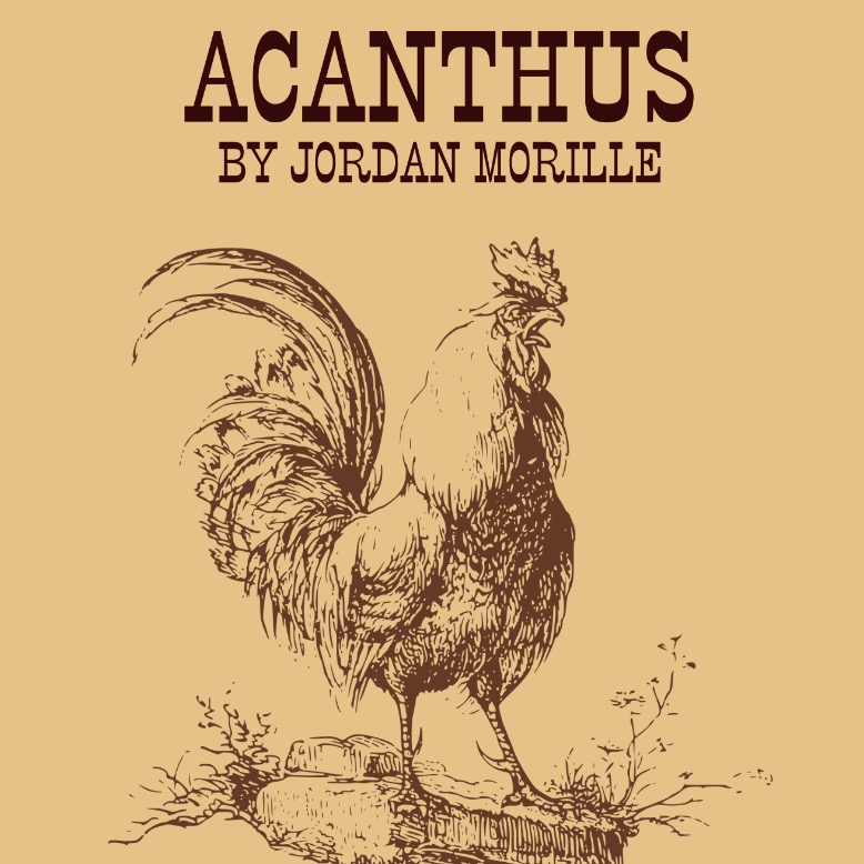 Acanthus