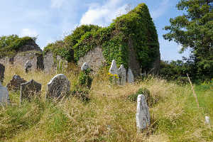 The Dead Body in Modern Ireland - A Conference