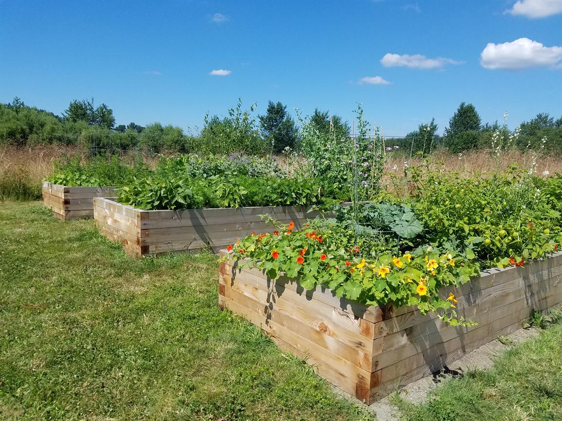 UWBCC Farm Lunch Series