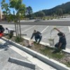 Civic Center Landscape Stewardship Civic Center Landscape Stewardship