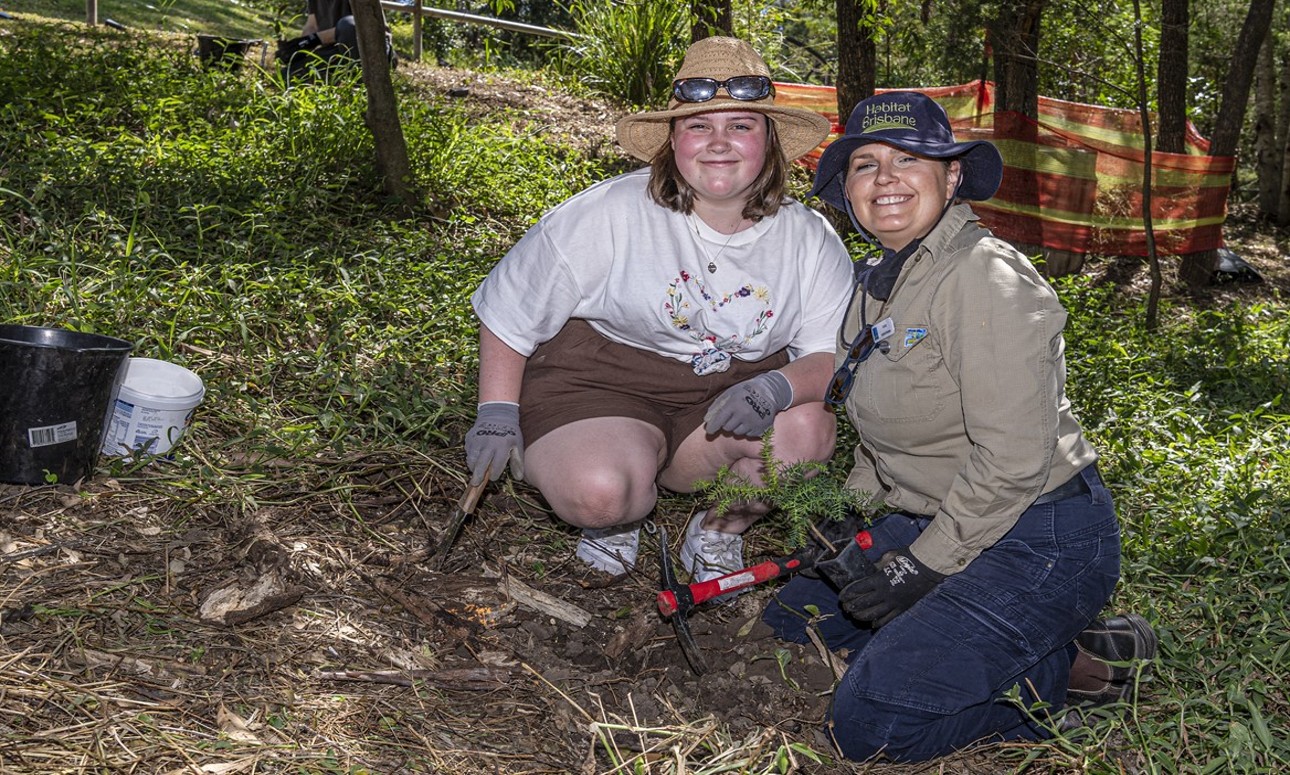 Volunteer Bushcare Working Bee - Ironside Park Bushcare Group