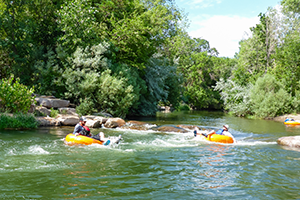 Tube the Ogden River