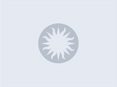 Smithsonian Sunburst