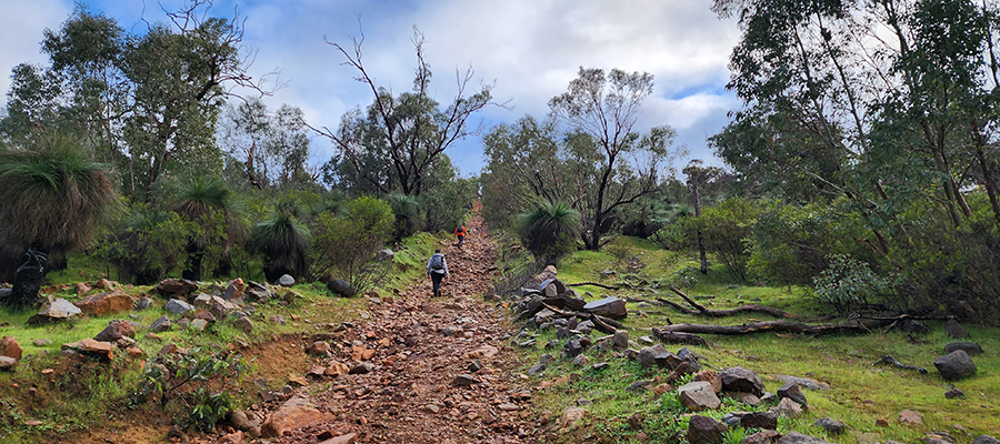 Wungong - Off the Beaten Track