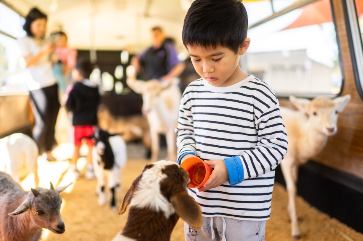 Children's fun day for Child Protection Week