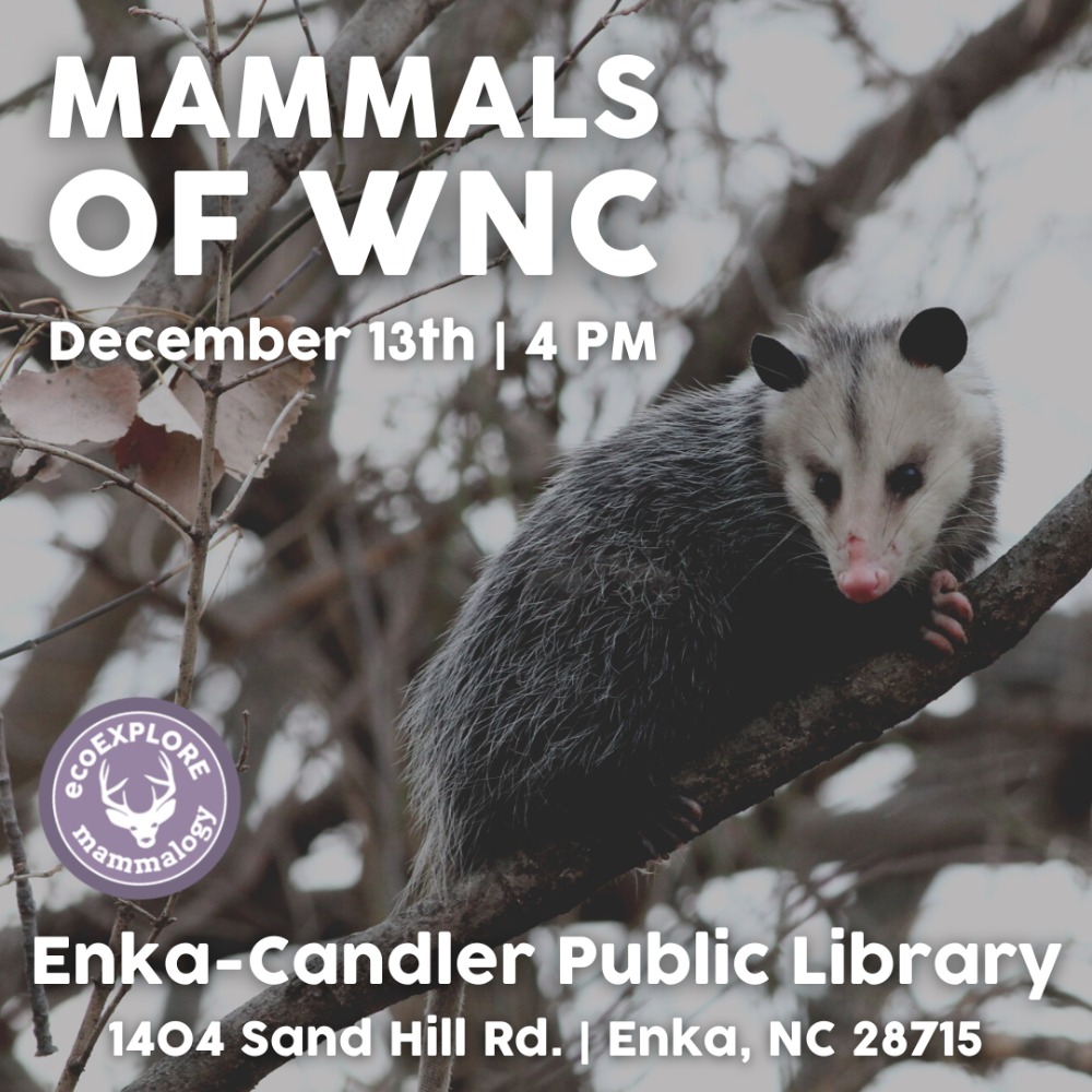 ecoEXPLORE Mammals of WNC with the Arboretum