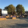 Family Movie Night