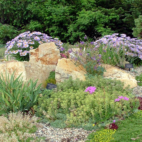 Botanical Gardens World Tour: Betty Ford Alpine Gardens and Western Australia Botanic Garden