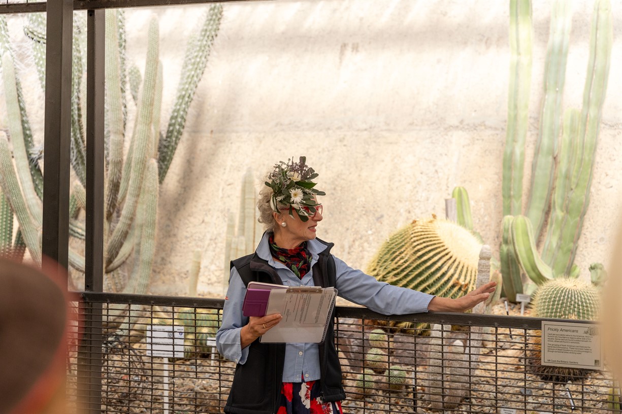 Special walk: Fascination of plants