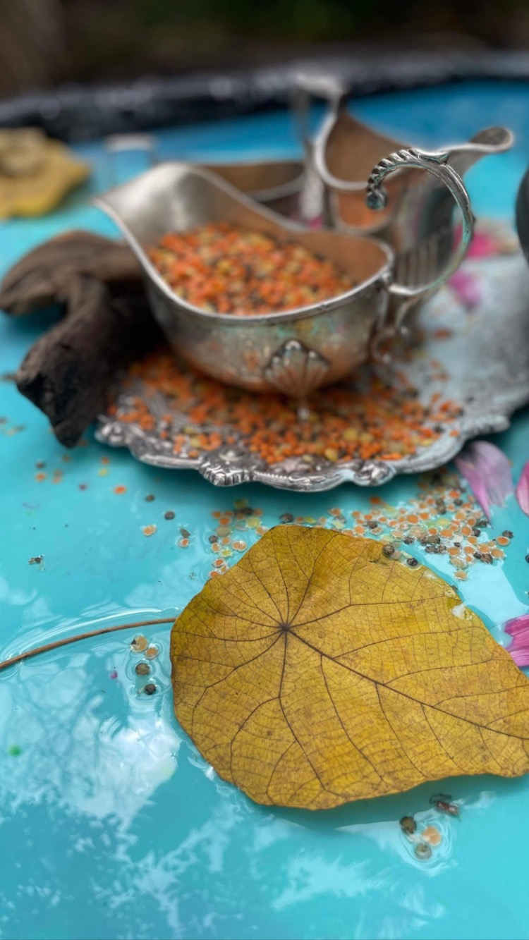 Gumtreekids Messy play -Ocean and mermaids at New farm park