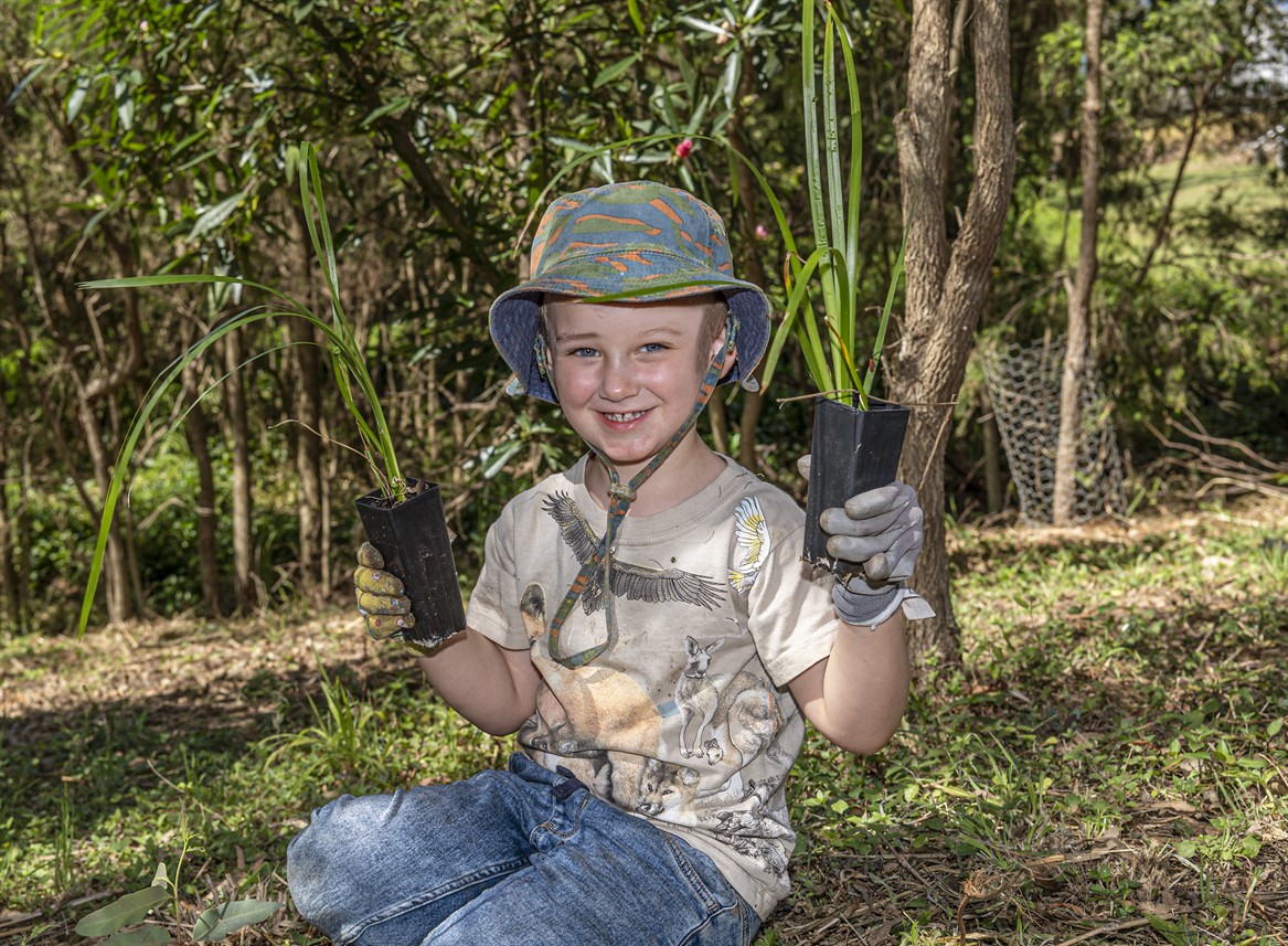 Volunteer Bushcare Working Bee - Kalinga Park Bushcare Group