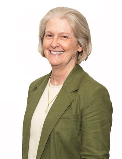 Inorganic Chemistry Seminar: Prof. Lisa McElwee-White
