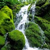 Waterfall Hike