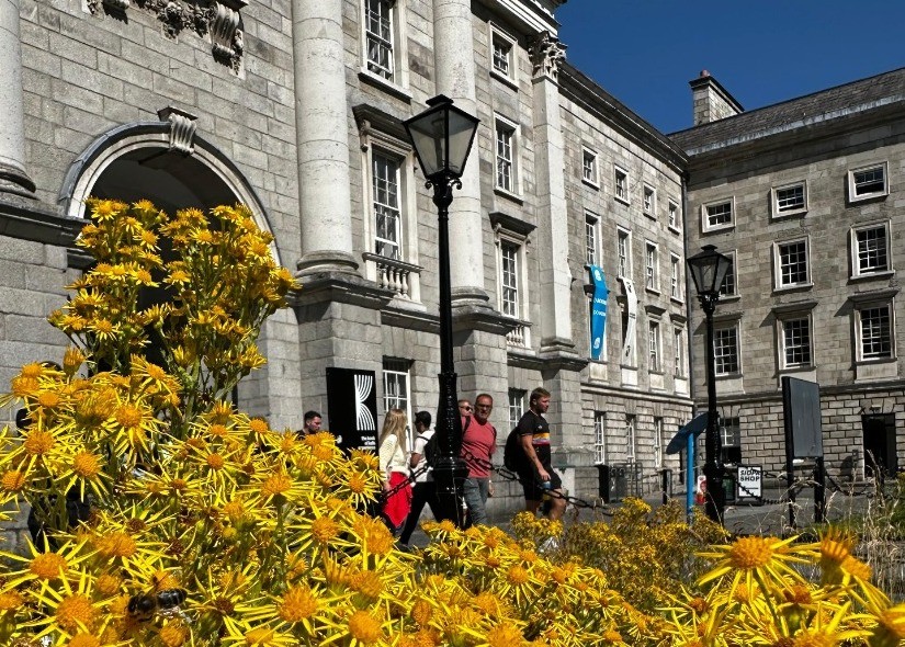 Climate and Biodiversity Action Week 2026