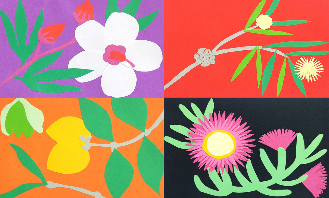 Discover the beauty of Boondall Wetlands through collage