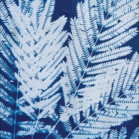 Photography: A Hands-on History of Cyanotypes