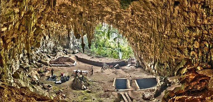 HOT Topic: Homo floresiensis: The “Hobbits” of Human Evolution