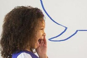 Irish Research Network in Childhood Bilingualism