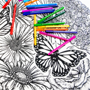 Calm colouring-in sessions Calm colouring-in sessions