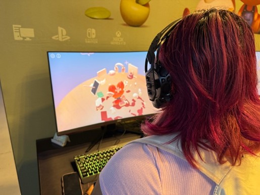 A gaming playing on a PC