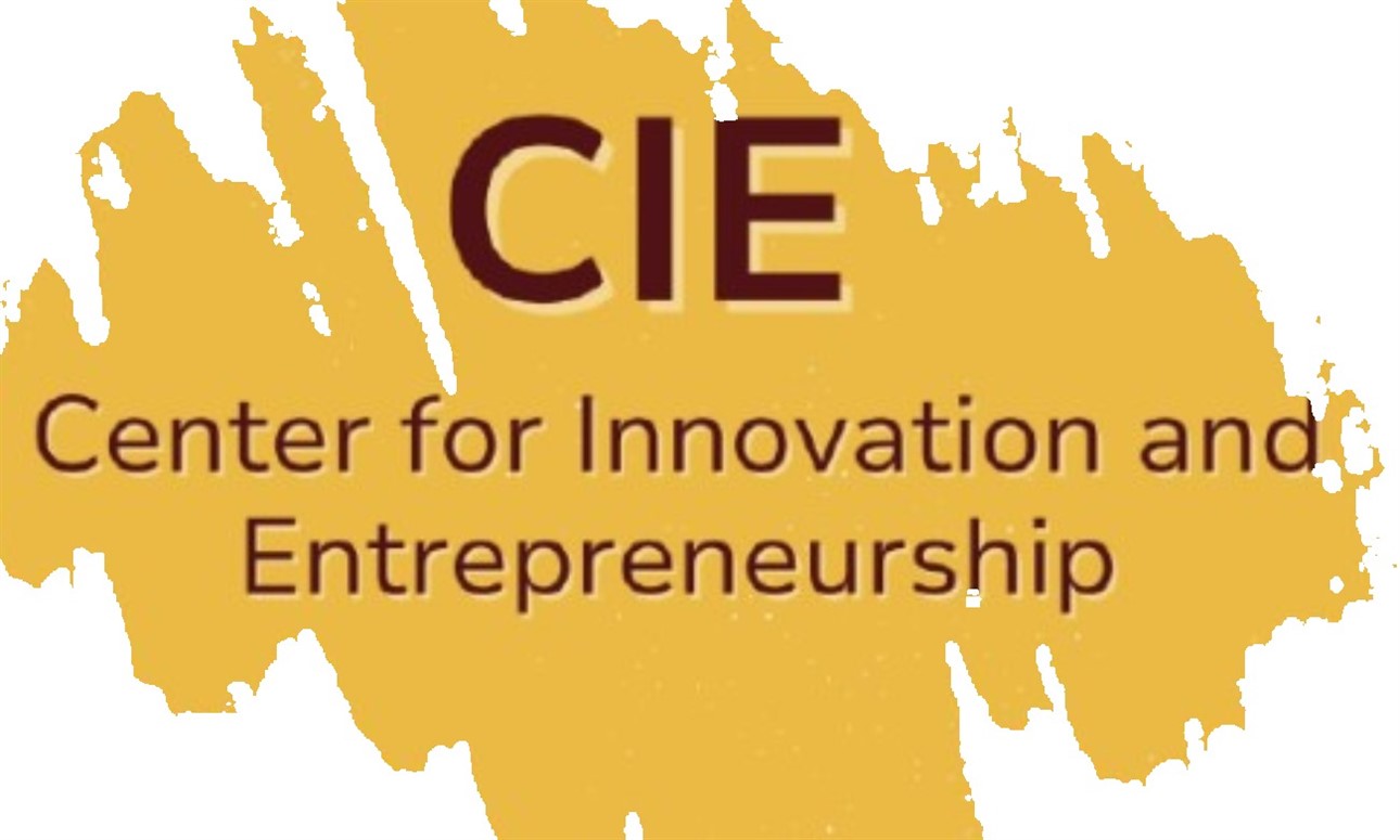 CIE Wednesday Workshop -  Pitch Workshop, with Quinn Valentine, Director of CIE