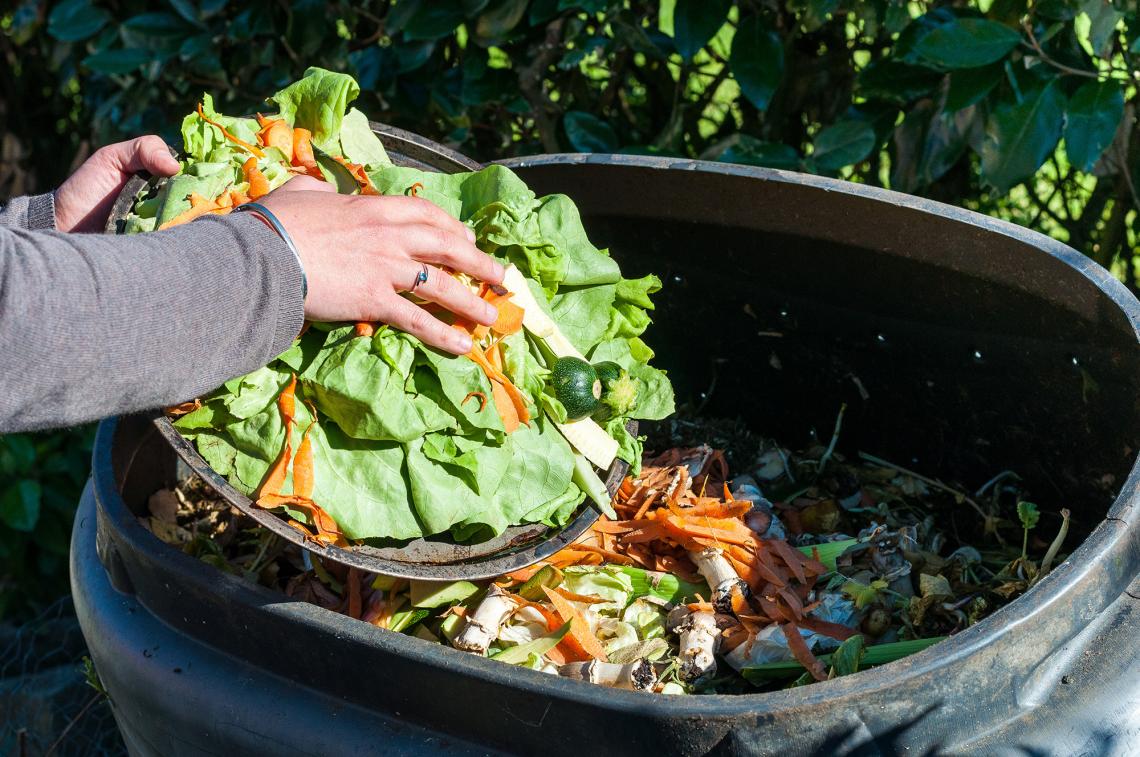 World Composting Day - Composting 101