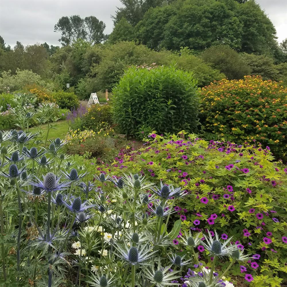 First Thursday Center for Urban Horticulture Tour First Thursday Center for Urban Horticulture Tour