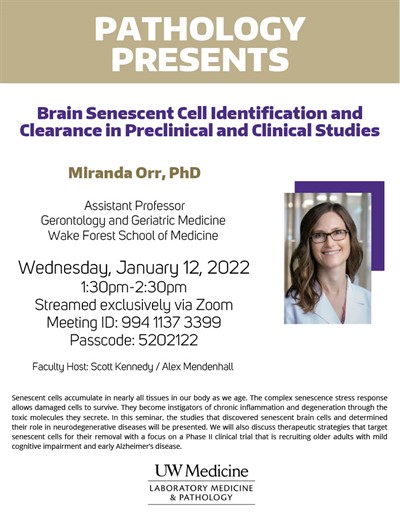Pathology Presents: Miranda Orr, PhD - Brain Senescent Cell Identification and Clearance in Preclinical and Clinical Studies