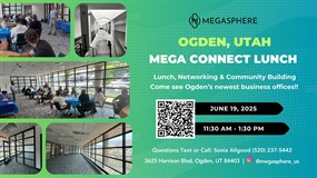 MegaSphere Mega Connect Lunch