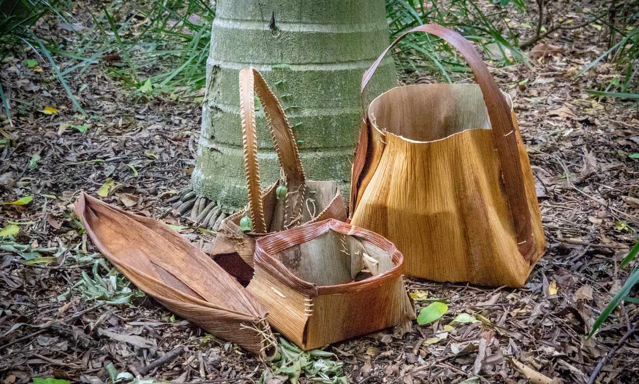 Botanic art: Palm sheath baskets