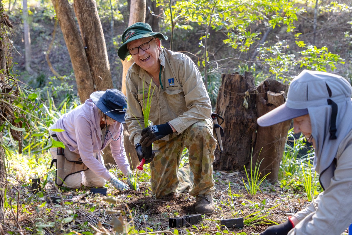 Volunteer Bushcare Working Bee - Perrin Creek & Seven Hills Bushland Regeneration Group