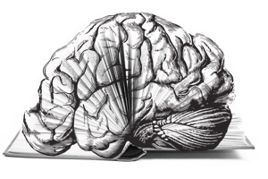 TLRH | Literature and the Creative Brain