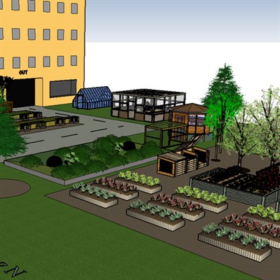 City Living: Designing Greenspace for Healthy Neighborhoods