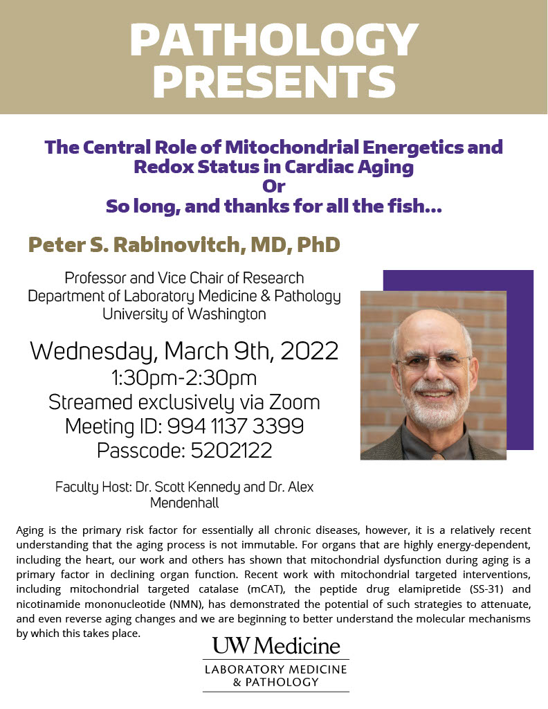 Pathology Presents: Peter Rabinovitch, MD, PhD - The Central Role of Mitochondrial Energetics and Redox Status in Cardiac Aging: Or, So long, and thanks for all the fish…
