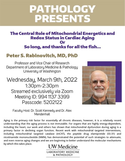 Pathology Presents: Peter Rabinovitch, MD, PhD - The Central Role of Mitochondrial Energetics and Redox Status in Cardiac Aging: Or, So long, and thanks for all the fish…