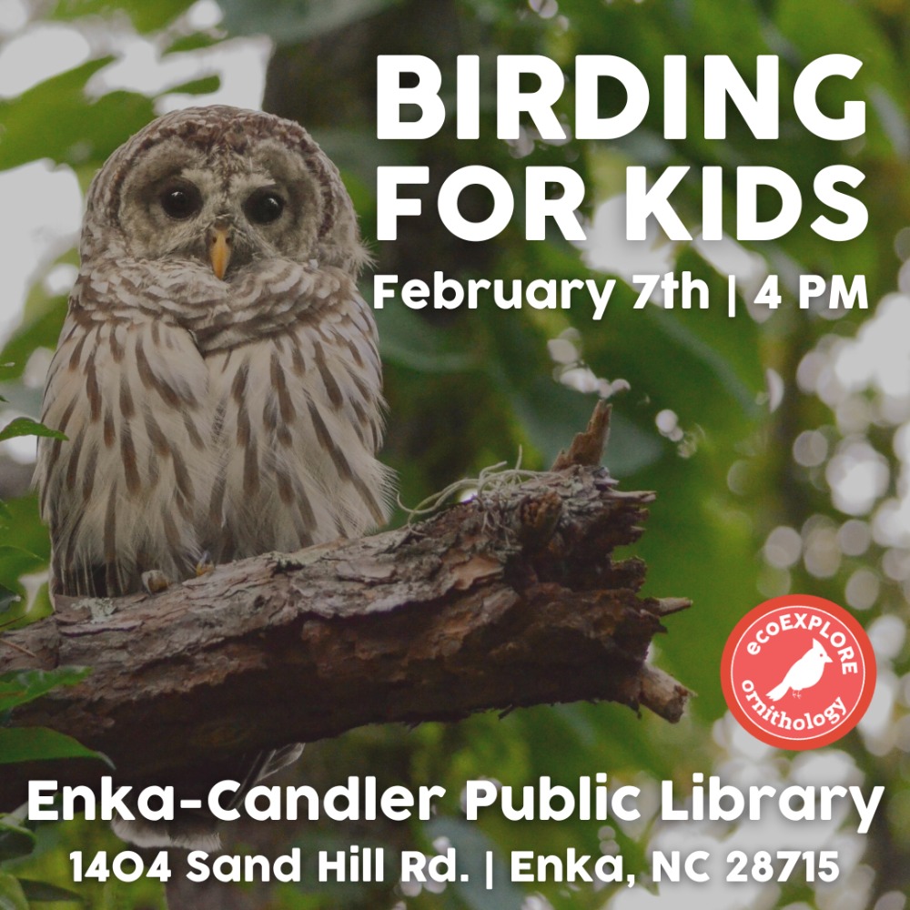 ecoEXPLORE Birding for Kids with the WNC Arboretum