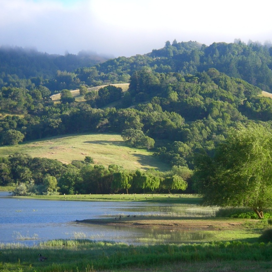 Family Walk: Stafford Lake