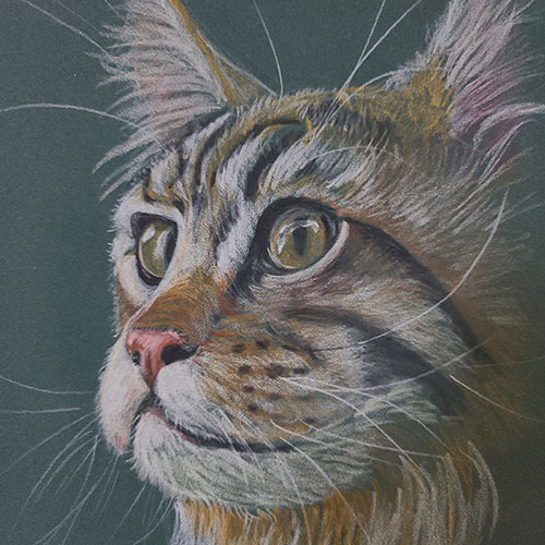 Complete Colored Pencils