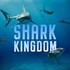 New! Shark Kingdom New! Shark Kingdom