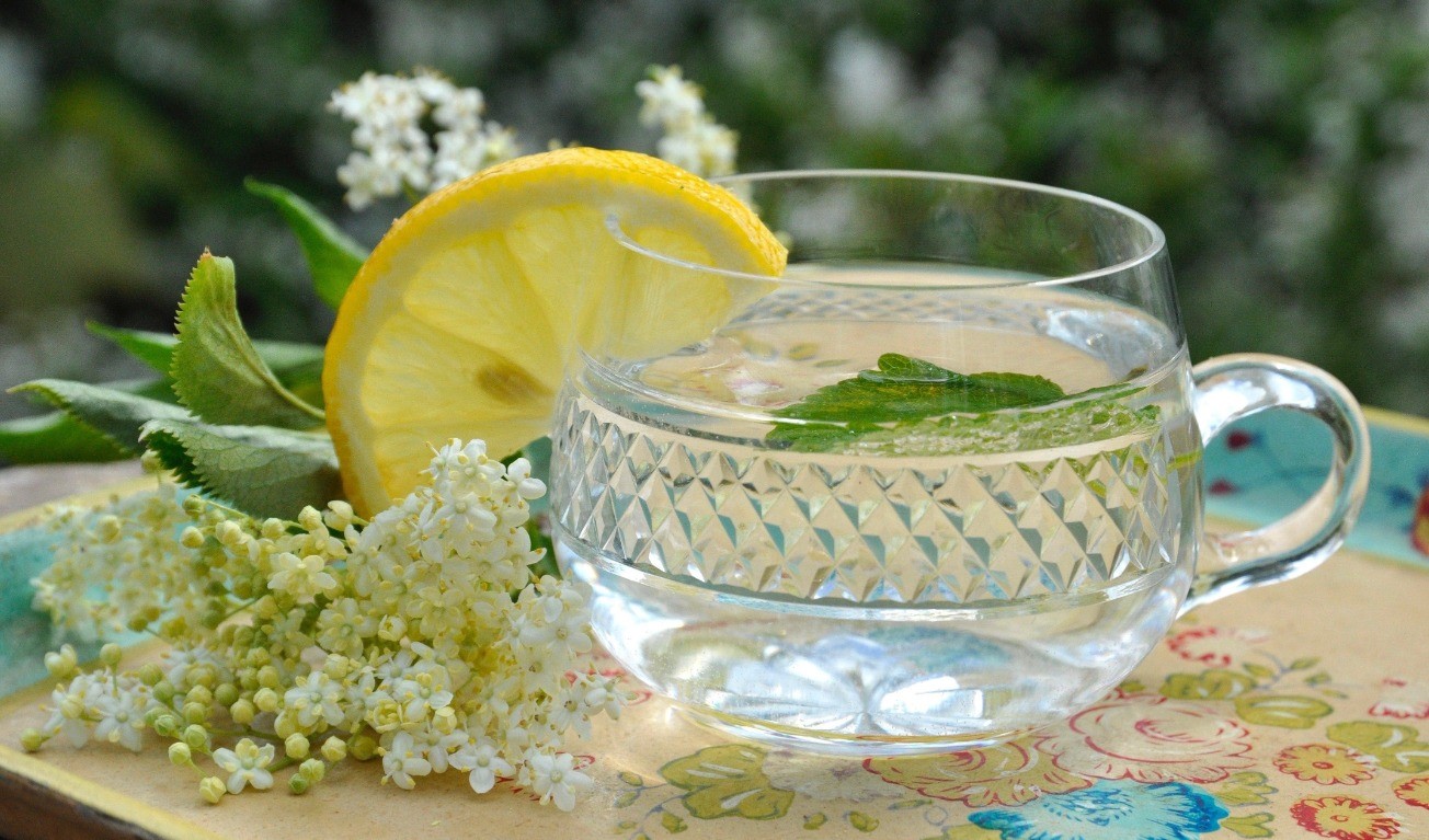 Herbal teas and tisanes - A focus on Elderflower