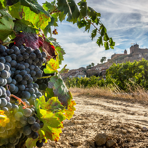 Road Trip: Wines of the Iberian Coast