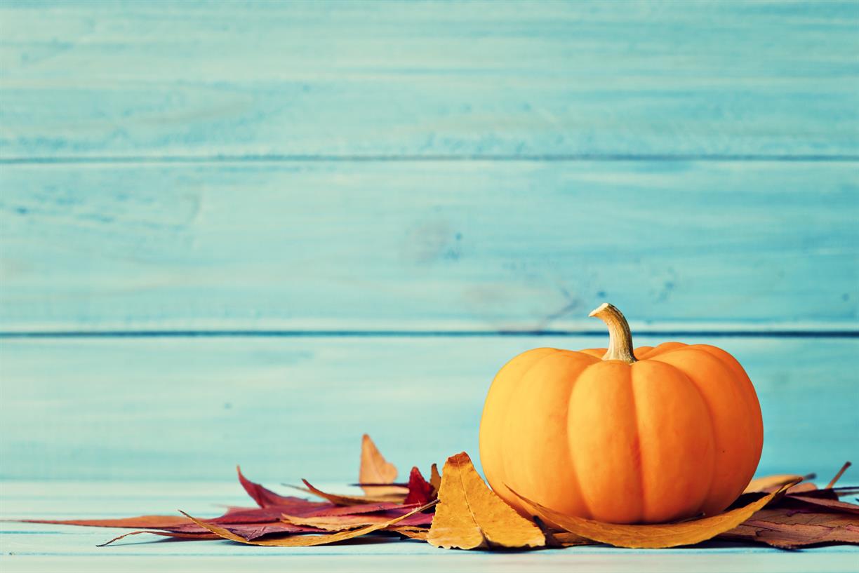 Fall Fun Fest