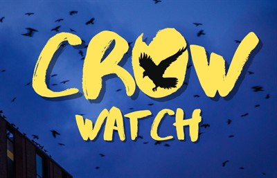Crow Watch 2024 - NEW DATE
