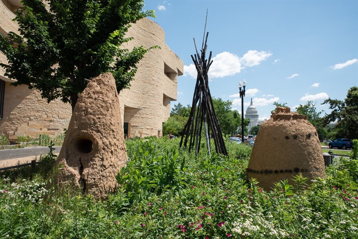 Living Earth Festival