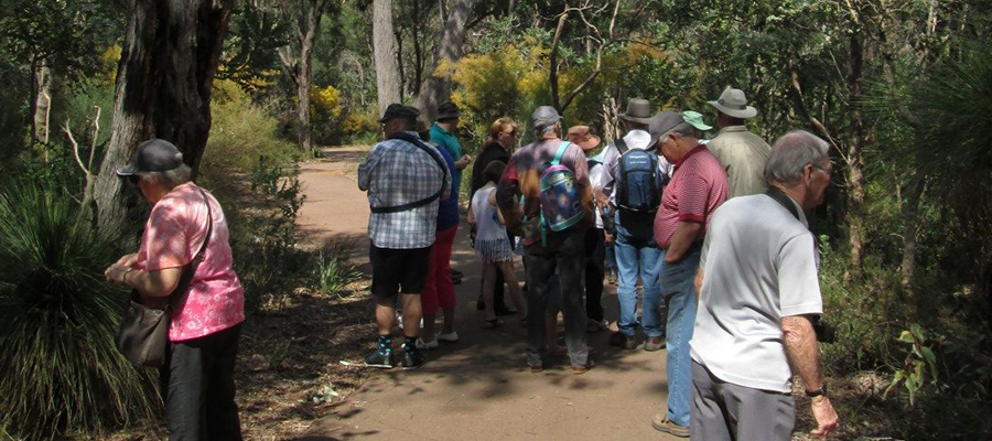 Armadale Wildflower Society