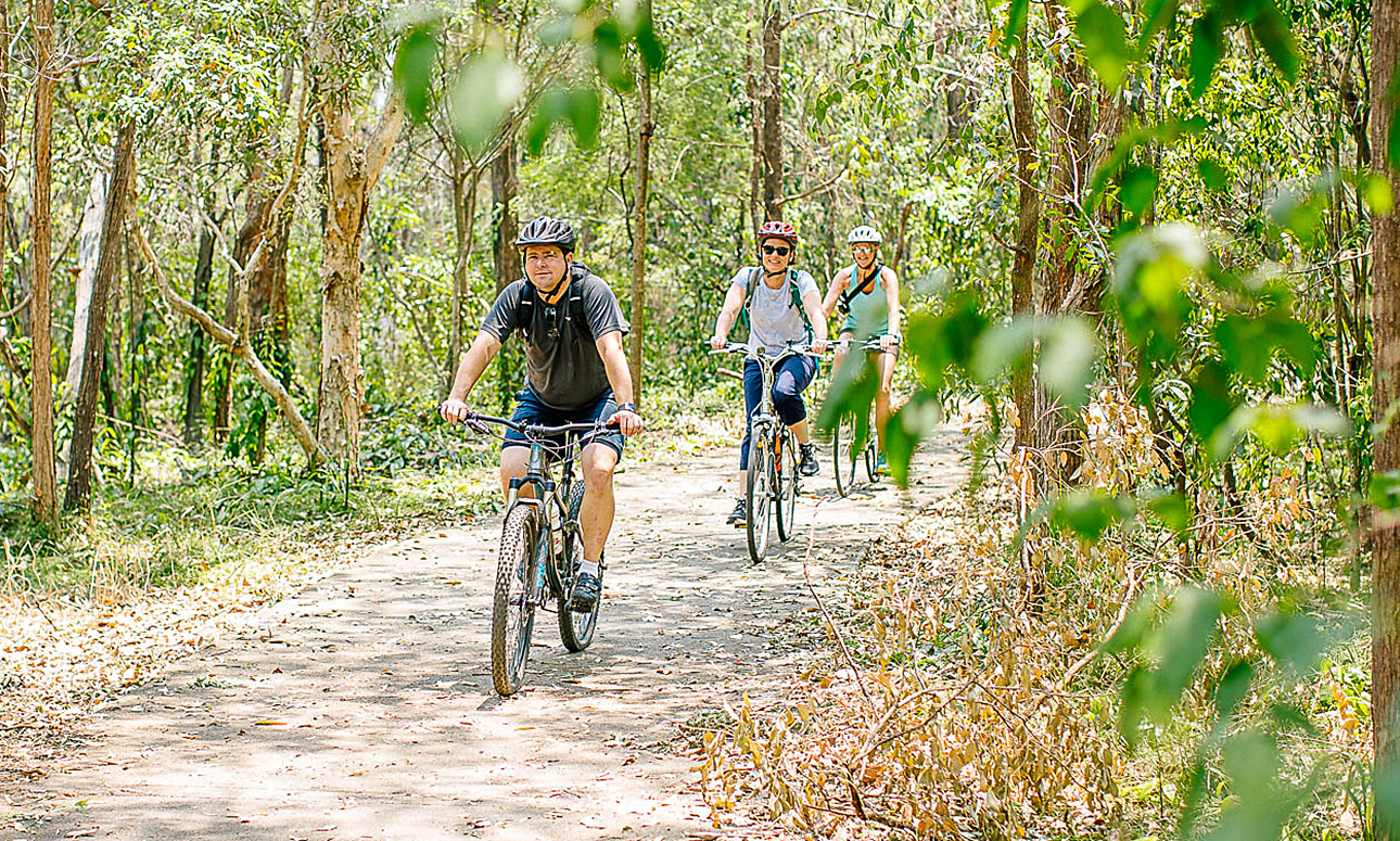 Ferny Grove Rail Trail