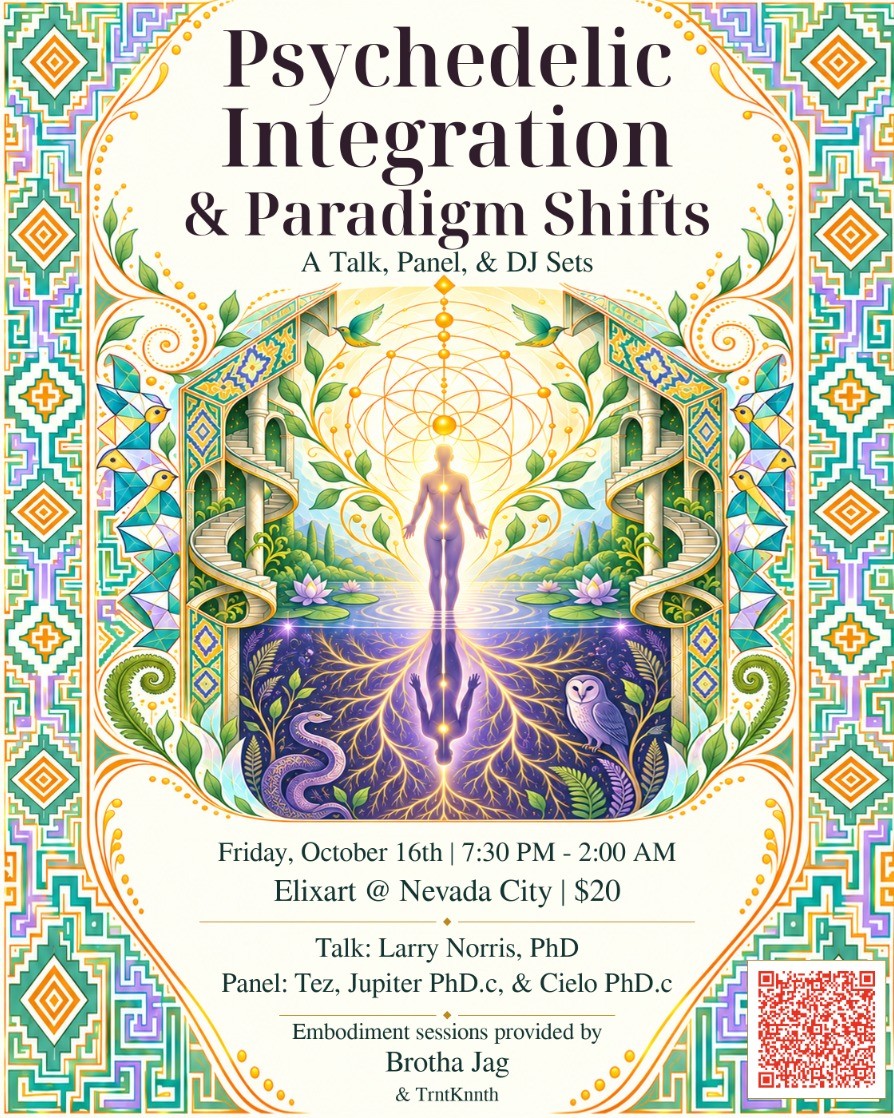 Psychedelic Integration & Paradigm Shifts: Talk, Panel, DJs