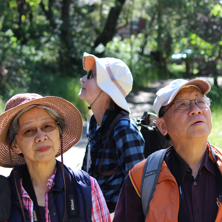 Senior Stroll: Earthquake Trail