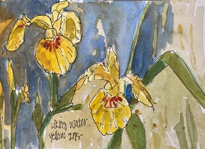 Botanical Sketching in Watercolor and Ink Series: Spring