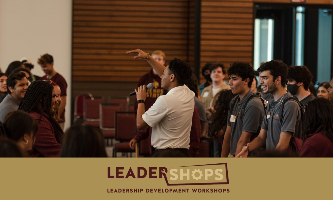 LeaderShop: DiSC